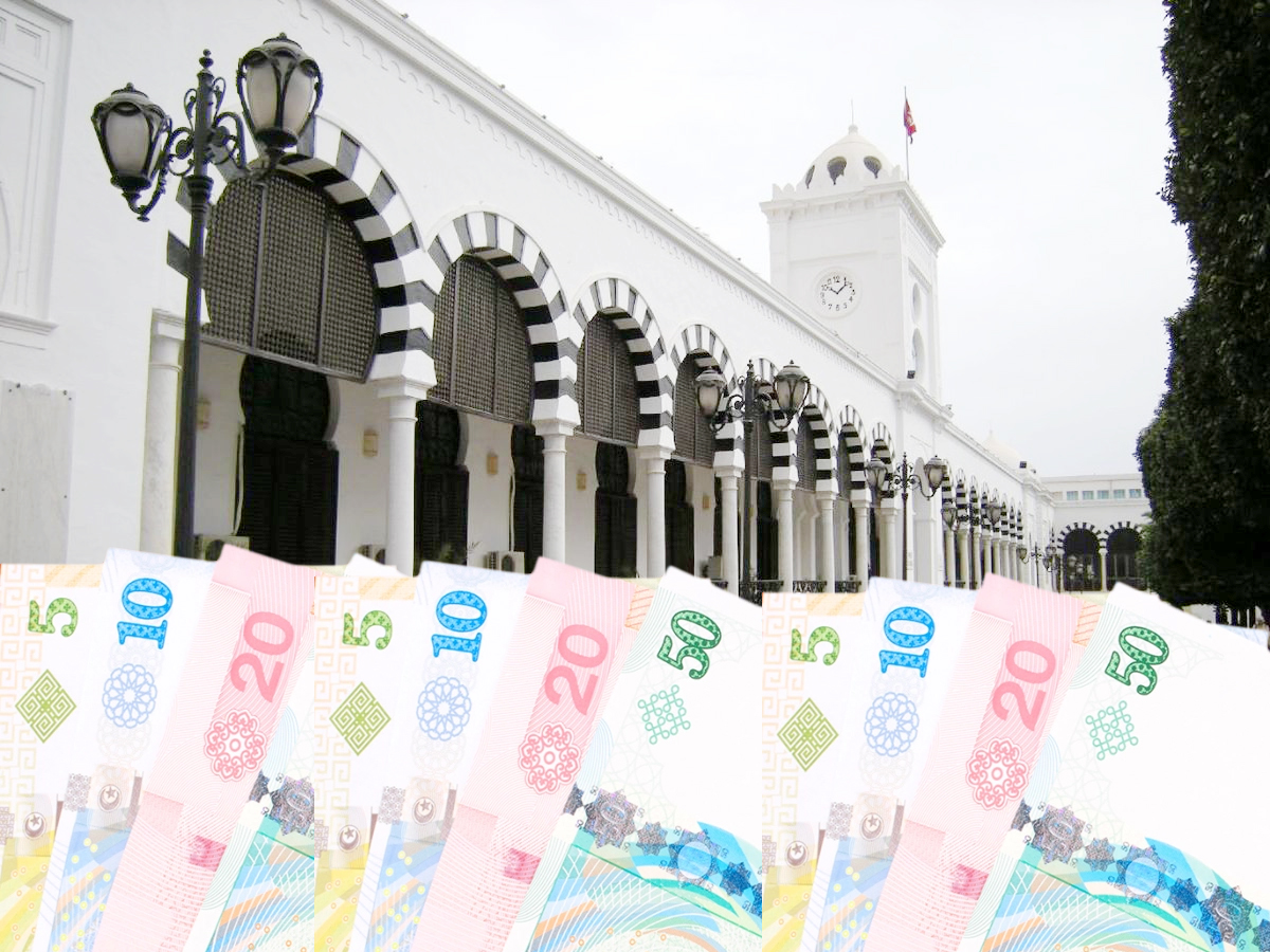 البنوك التونسية تواصل تمويل ميزانية الدولة خلال 2023 على حساب الأفراد والمؤسسات!